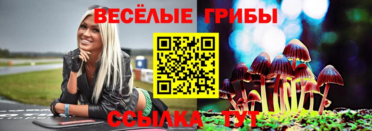 Галлюциногенные грибы Cubensis  Псилоцибиновые грибы Magic Shrooms  Вход с VPN  Выкса 