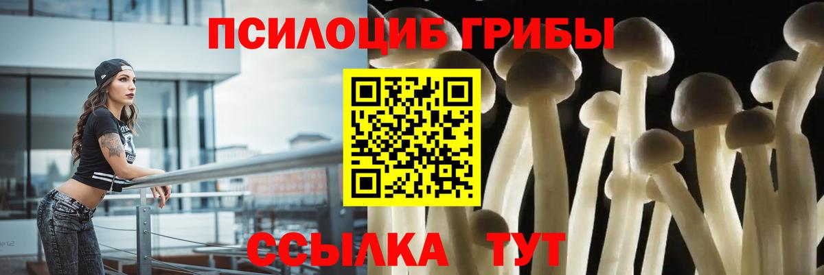 Псилоцибиновые грибы Cubensis Выкса