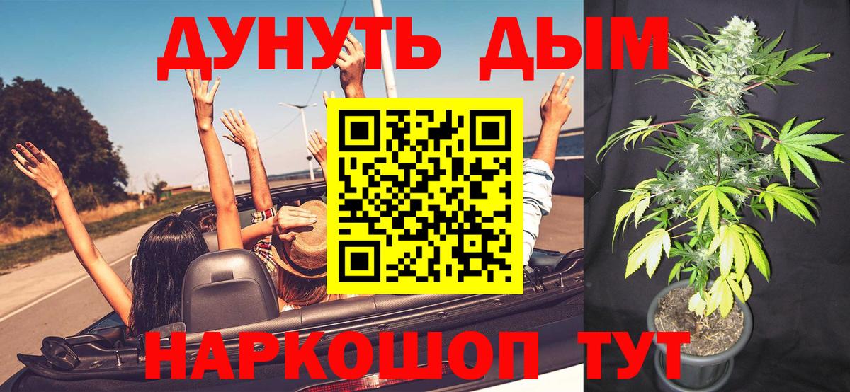 Бошки Шишки VHQ  Бошки марихуана VHQ  МАРИХУАНА VHQ  Вход с VPN  Выкса  Конопля White Widow 